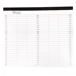 Cameo 100 Page Appointment Pads 