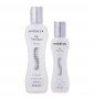 Biosilk Glow & Sleigh Duo