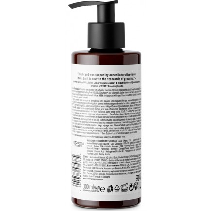 STMNT ALL-IN-ONE CLEANSER 10.14 OZ