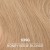 #1070 / 10NG -  Honey Beige Blonde 