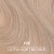 #1290 / 12C - Ultra Light Blonde 