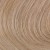 #10GV - Lightest Soft Gold Blonde 